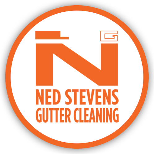 Ned Stevens Logo